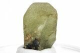 Green Olivine Peridot Crystal - Pakistan #213512-1